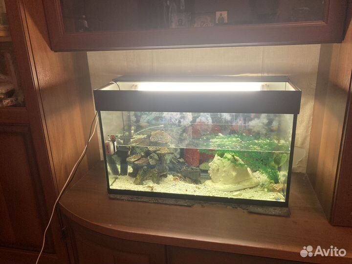 Аквариум