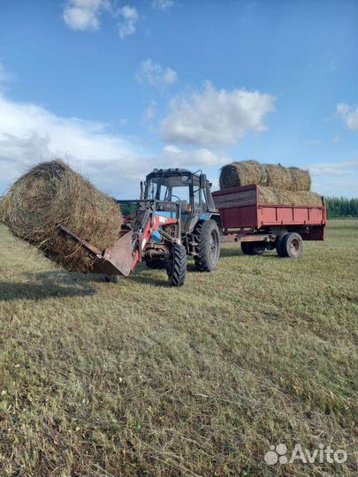 Зерно пшеница, ячмень опт, сено в рулонах