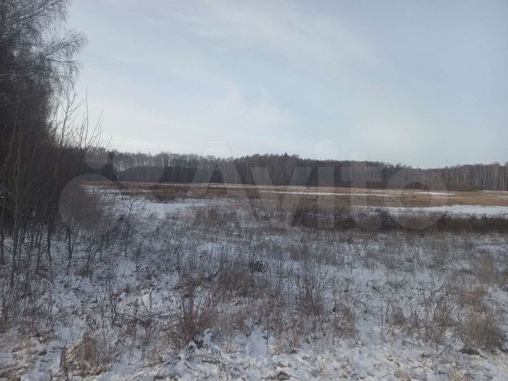 Участок 15 га (СНТ, ДНП)