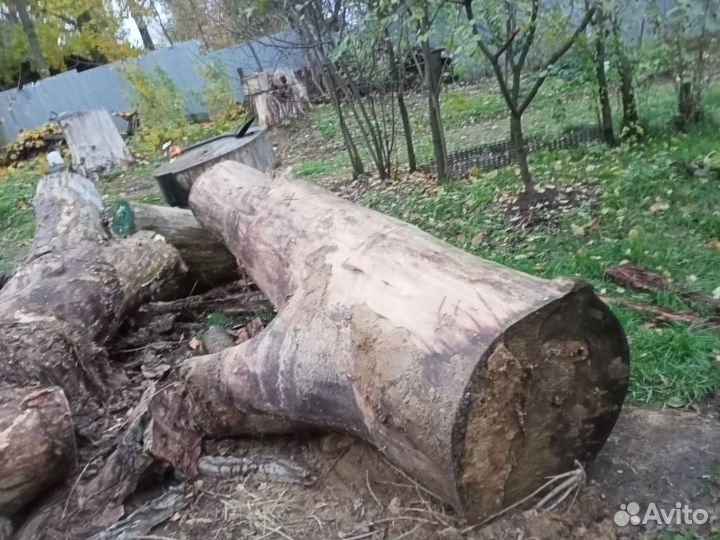 Дерево на слэбы