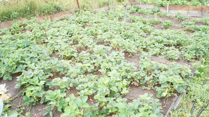 Дача 64 м² на участке 10 сот.