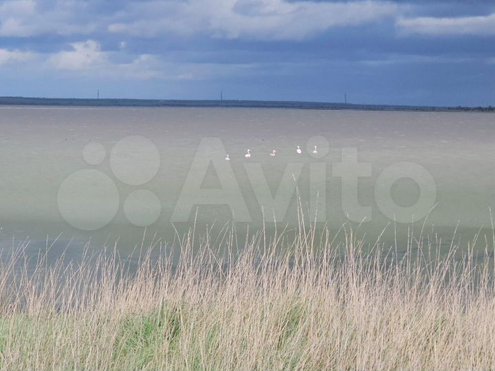 Участок 18 сот. (СНТ, ДНП)