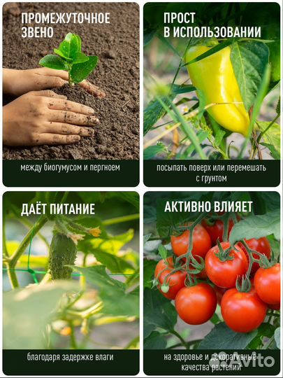 Коровий навоз 50 литров / Удобрение для растений