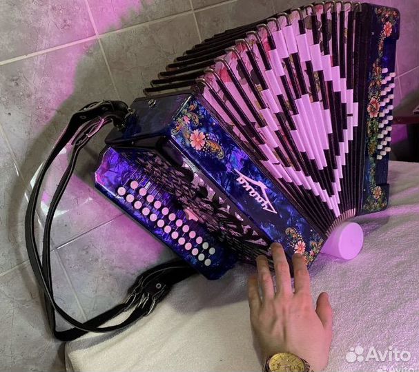 Современная Гармонь Чайка с Регистром Звонкая