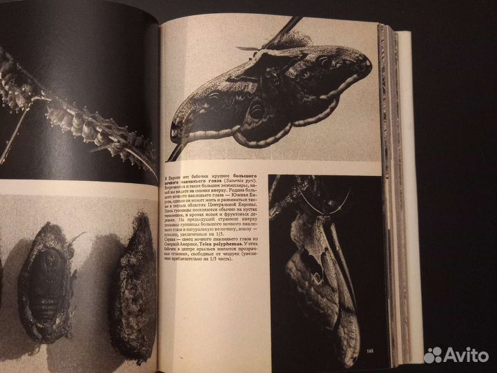 Иллюстрированная энциклопедия животных.Прага, 1972