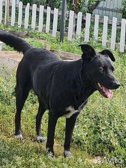 Молодая девочка