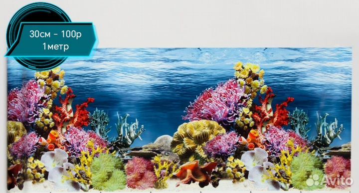 Задний фон для аквариума