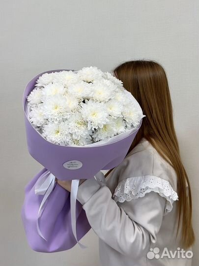 Нежные хризантемы