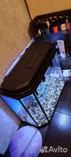 Аквариумы 7 и 30 литров, декорации