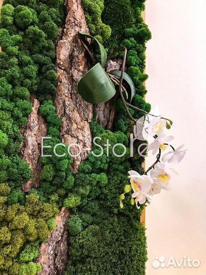 Панно со мхом и орхидеей