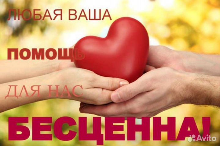 Вещи