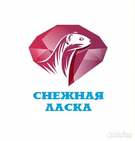 Кладовщик со знанием пк