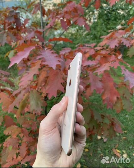 iPhone 8 Plus, 64 ГБ