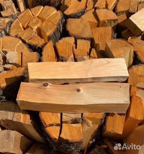 Дрова береза