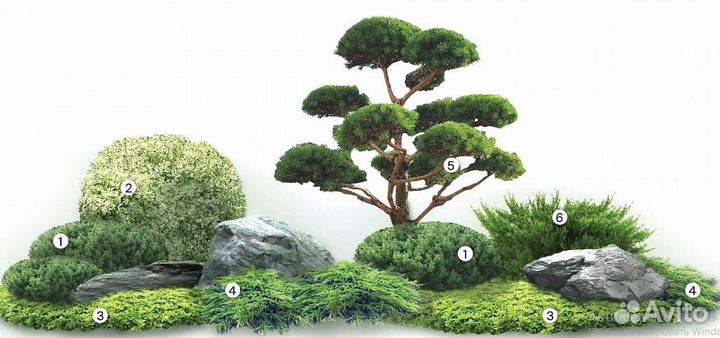 Готовая ландшафтная композиция