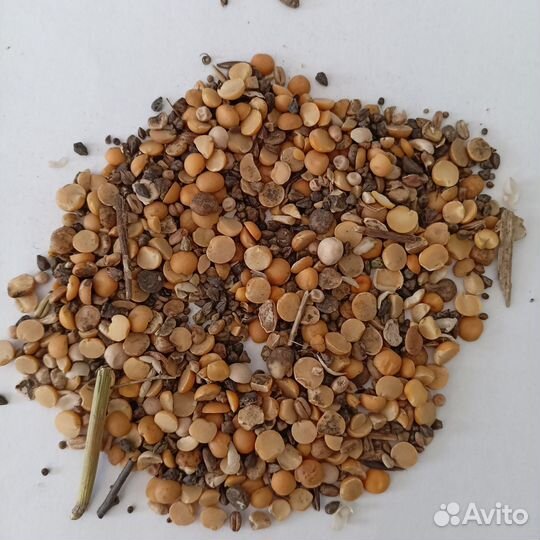 Продаем зернортходы