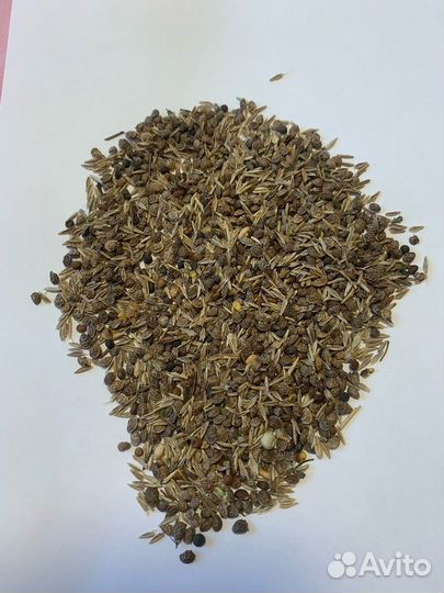 Эспарцет. Семена эспарцета