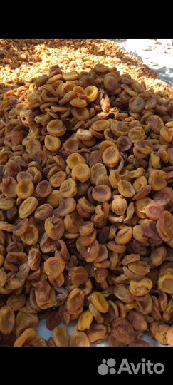 Курага домашняя