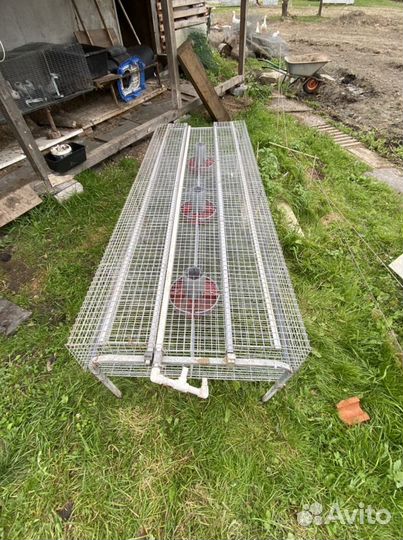 Клетки для кроликов бу