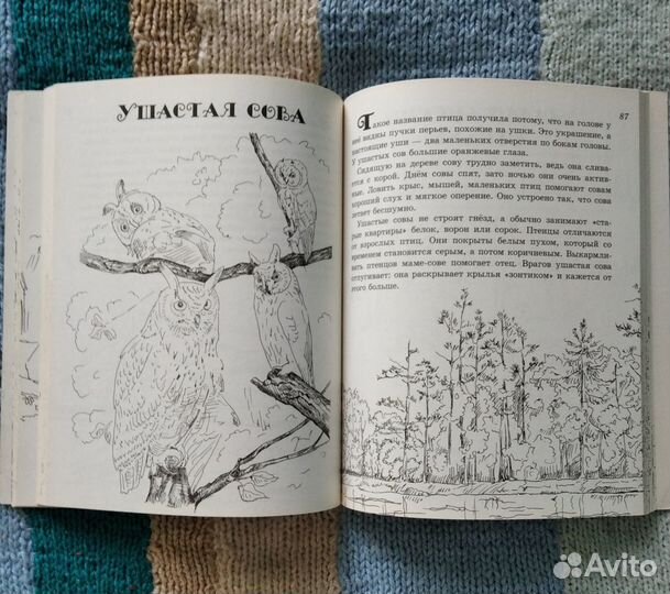 Книга-раскраска Калининградский зоопарк