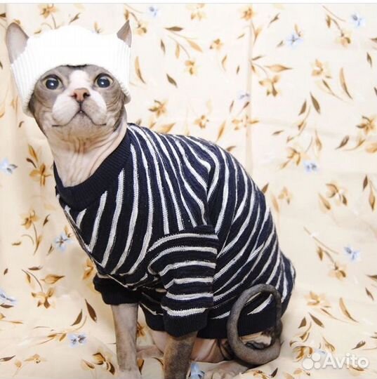 Одежда для кошек