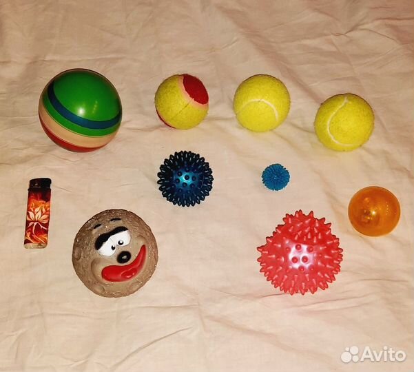 Игрушки для животных