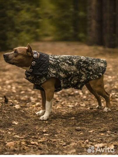 Новая Попона для собак, куртка комбинезон,40