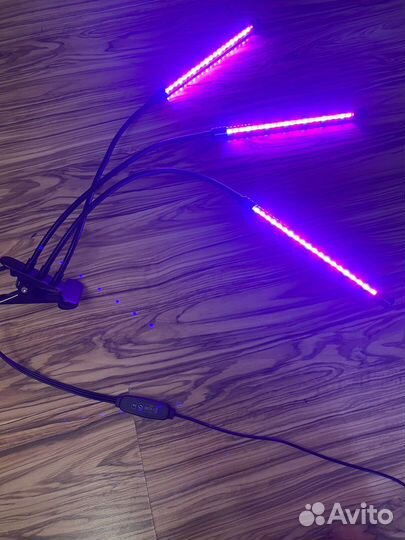 Фито лампа для растений