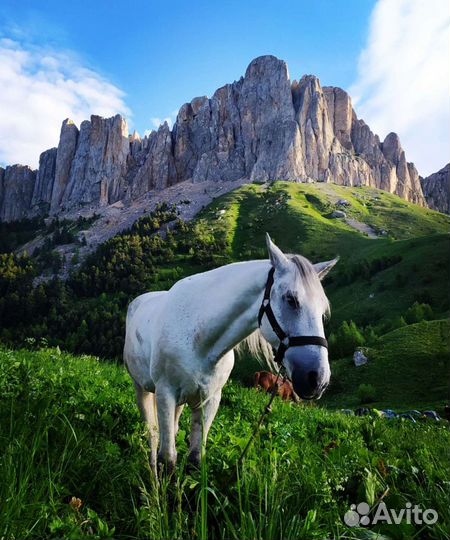 Гид Проводник Инструктор