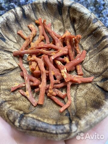 Красный коралл для Васту