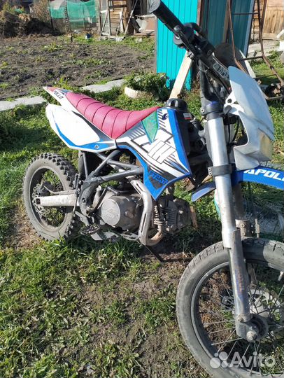 Питбайк Аполо