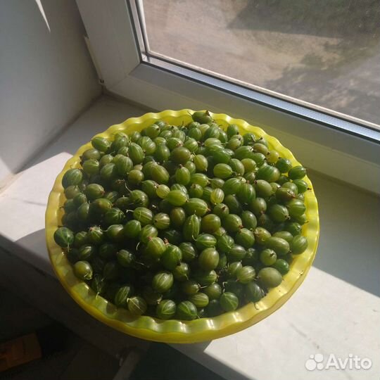 Крыжовник ягоды