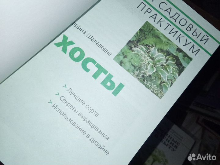 Хосты.лекарственные растения в быту