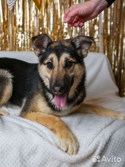 Молоденькая, но уже несчастная Джейна