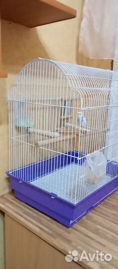 Продам клетку для птиц