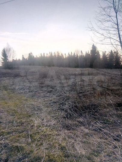 Участок 12 га (СНТ, ДНП)