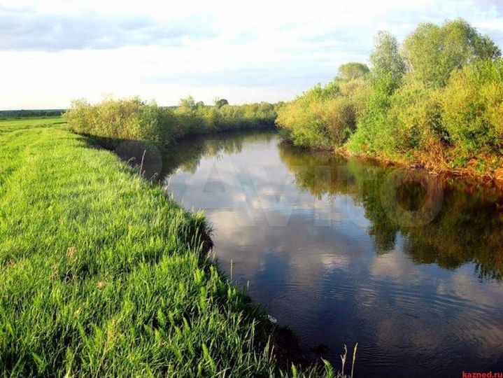 Участок 10 сот. (ИЖС)