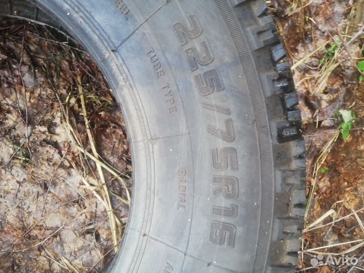 Резина forward professional 153