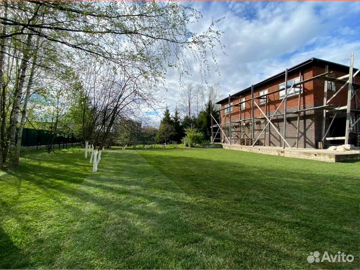 Рулонный газон, элитные травосмеси