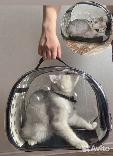 Сумка переноска для кошек