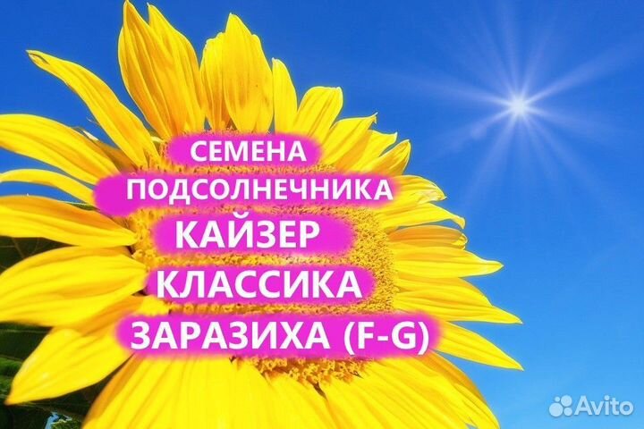 Семена подсолнечника Кайзер Классический Гибриды