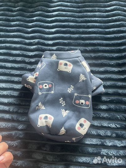 Одежда для собак мелких пород