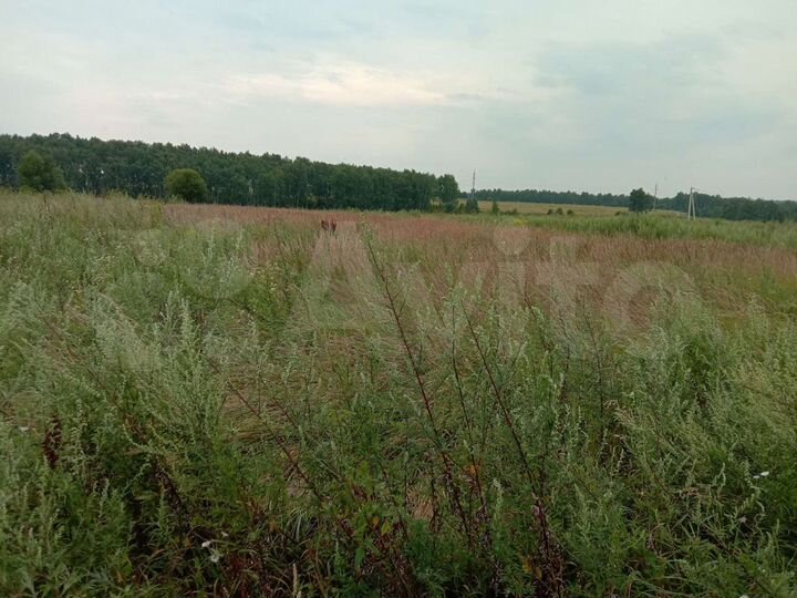Участок 13,5 сот. (ИЖС)