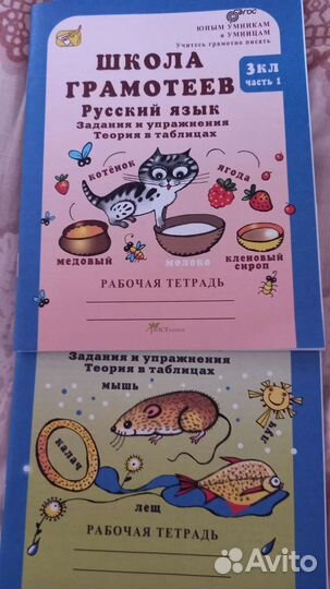 Школа грамотеев (рус.яз.) 3кл в 2частях