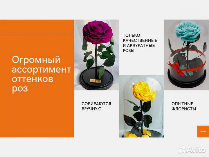 Розы в колбе на выбор