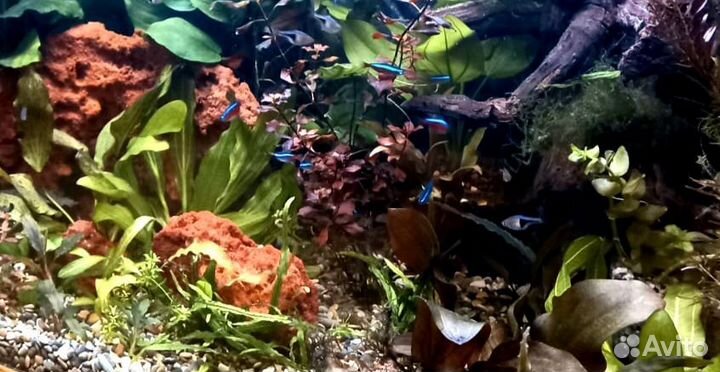 Натуральный песчаник для оформления аквариума