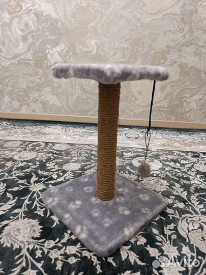 Когтеточка