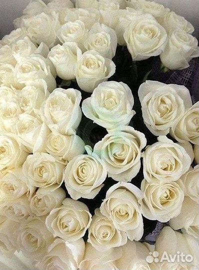 Розы высокие Доставка цветов