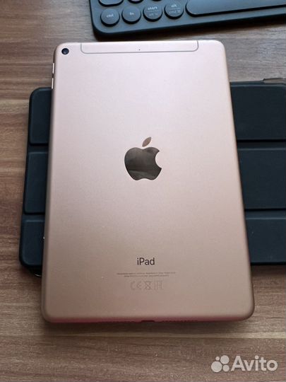 iPad mini 5 64gb wifi+cellular
