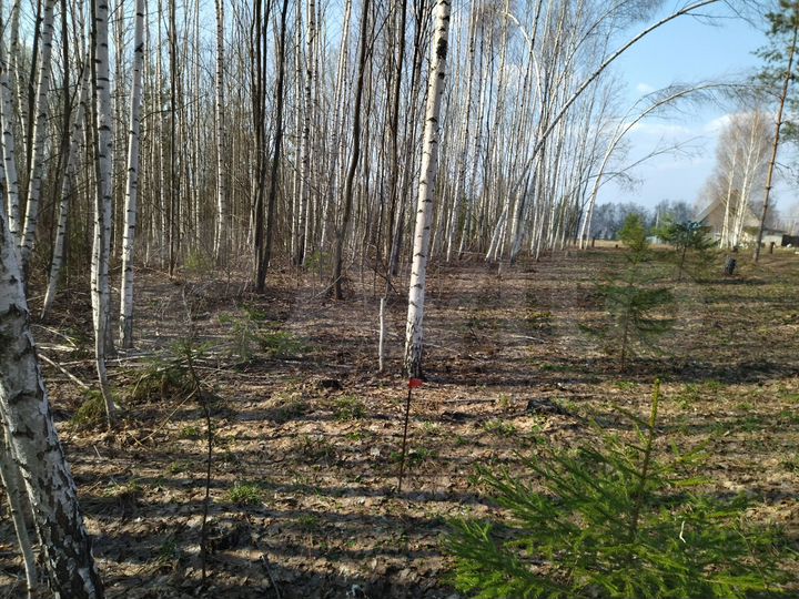 Участок 15 сот. (ИЖС)